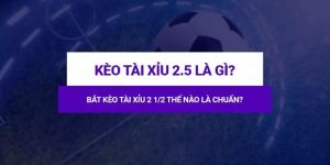 Phương pháp dự đoán O/U 2 trái rưỡi thành công